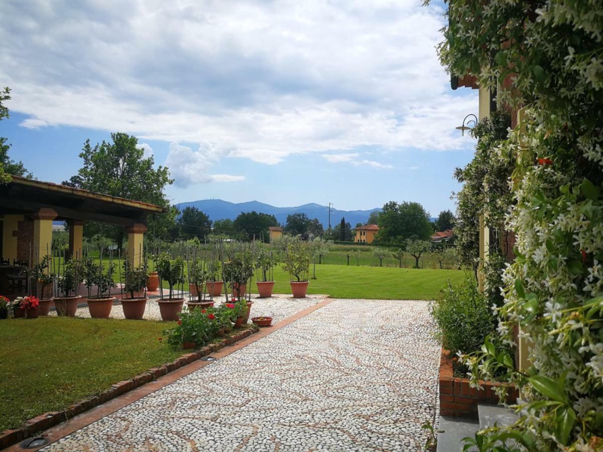 B&B La Fornace Del Sole Capannori Exterior photo